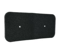 Filtro in spugna per Hoover DNH D8513AX 31100751 DNH D813A2-8 31100727