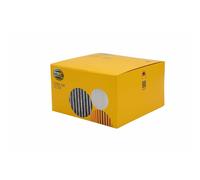 Filtro Interno Filtro Pollen 208 X 289 MM HELLA Per U.a. RENAULT SCÉNIC