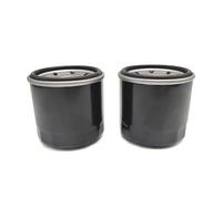 Filtro olio 2 pezzi for 500 550 ATV UTV LH500 500 E4 T550 E4 M550 E2 M550L 500 T3b EFI M 550 500 E4 500 T3b 35223