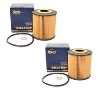 Filtro Olio 2 X SCT Sh 4789 P per BMW 3er 5er 7er E46 E39 E38 Land Rover Opel