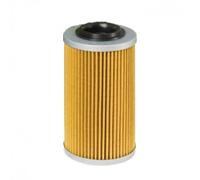 Filtro olio Aprilia Classic Leonardo Pegaso RS Tuono AP0956745
