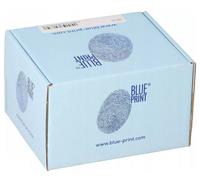 Filtro olio BLUE PRINT ADN12119 per DODGE NITRO 4 2007-2011