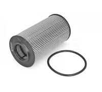 MEYLE Filtro olio 100 322 0024 per Audi e VW (A4/A4 Allroad/A5/A6/A6 Allroad/A7/A8/Q5/Q7/Q8/Amarok)