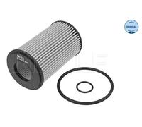 Filtro olio Cartuccia filtro 16-14 322 0009 MEYLE per RENAULT CLIO II KANGOO