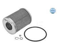 Filtro olio Cartuccia filtro 300 114 2104 MEYLE per BMW 3 Coupé 5 Touring 3 5