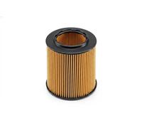 Valeo 586566 Filtro olio, Filtri motore elevati proprietà di filtrazione, durevolezza, applicazione facile e precisa