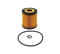 Filtro olio Cartuccia filtro COF100535E CHAMPION per FORD MAZDA