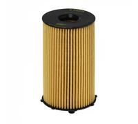 Hengst Filter Filtro olio E102H D156 per Citroën Ford Jaguar Peugeot Land Rover