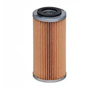 HENGST FILTER E1055H D609 Filtro olio