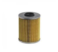 HENGST FILTER E110H D24 Filtro olio