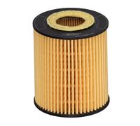 Filtro olio Cartuccia filtro E20H01 D293 HENGST FILTER per FORD MAZDA