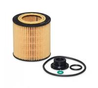 Hengst & Co Filtro olio E61H D258 – Cartuccia per BMW