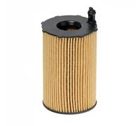 Hengst & Co Filtro olio E816H D236 – Cartuccia per Audi, Porsche, VW