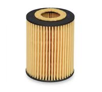 Hengst & Co Filtro olio E820H D245 – Cartuccia