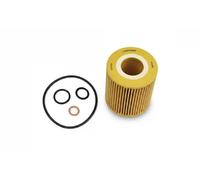 Filtro olio Cartuccia filtro FT01342 FAST