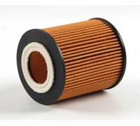 Filtro olio Cartuccia filtro J1313023 NIPPARTS per FORD MAZDA
