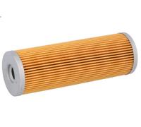 Filtro olio CHAMPION HF159 COF059 per Ducati Panigale 0.9 2014-2014