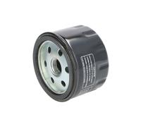 Filtro olio CHAMPION HF165 COF065