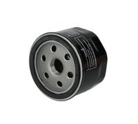 Filtro dell'olio Champion COF465 IDEM HF565 Noir TU