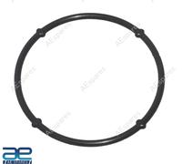 Filtro Olio Colino Cover o Ring Per royal enfield Classico Reborn Meteora Hunter