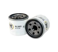 Filtro Olio Compatibile Con HYUNDAI R17Z-9A RICO RL3001