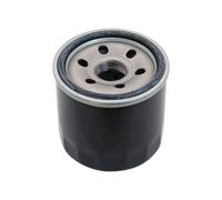 Filtro Olio Compatibile Con Stiga Estate 598 W Trattore Da Giardino