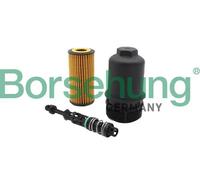 Filtro olio Elemento filtro incluso nella scatola di plastica B10435 Borsehung