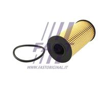 Filtro olio FAST FT38031 per DACIA DUSTER (HM_)