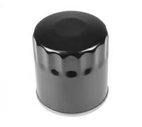 Ferdinand Bilstein Filtro olio 109220 per Volvo V50 (545)