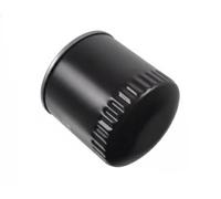 Filtro olio per CHRYSLER DODGE FORD MAZDA FORD USA JEEP LINCOLN 04884899AC
