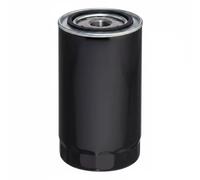 Hengst & Co Filtro olio H19W12 per IVECO