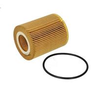 Filtro olio FILTRON OE 667/3 per CITROEN C6 (TD_) 3 2009-201