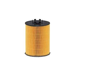 Filtro olio FILTRON OE 672/8 per BMW X5 4.8 i xDrive