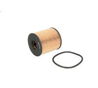 Filtron Fiat Scudo Ii 2.0 Jtd, Ford Focus Ii-Galaxy Ii-Mondeo Iv 2.0 Tdci Oe673