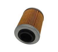 Filtro olio for moto 1 pz/2 pz adatto for CF CF500 400 500cc Cforce Zforce 800cc CF800 X8 ATV UTV Ricambi 0800-011300-0004(2PC)