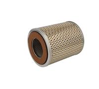 Filtro olio HENGST E138H01