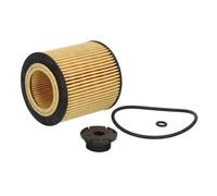 Hengst & Co Filtro olio E61H D258 – Cartuccia per BMW