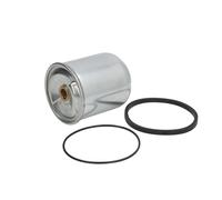 Filtro olio HENGST Filtration Z10 D64