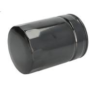 Filtro olio HENGST H17W09