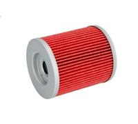 Filtro olio HIFLO HF585