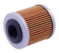 Filtro olio HIFLOFILTRO per Husqvarna SMS 630 ie 2011- 2012 57 PS, 42 kw