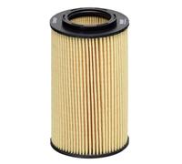 Filtro Olio Inserto Filtro HENGST per Genesis