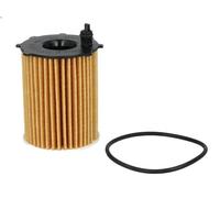 Knecht OX 171/16D Filtro Motore