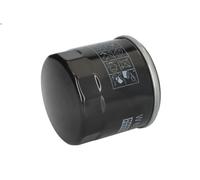 Filtro olio MANN-FILTER W 6031 per RX (_LA1_, _LH1_) 2.5 2022-2022
