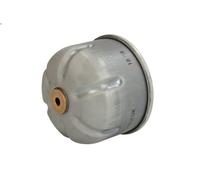 MANN-FILTER ZR 7001 Filtro dell'olio - per Autovetture + veicoli commeriali