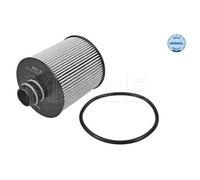 MEYLE Filtro olio Cartuccia 214 322 0009 per Alfa Romeo, Fiat, Jeep, Lancia, Opel, Suzuki