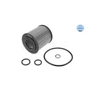 Filtro Olio MEYLE Per BMW Serie 1 E81 E82 E87 E88 3 E46 E90 E91 E92 E93 5 E60