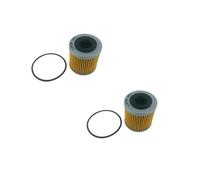 Filtro Olio Moto Per 125RS4 Per 125RS Per 125RX Per 125SX Per 125Tuono Per 450RXV Per 450SXV Per 450SXV Per 550RXV Per 550SXV Per Derbi Per 125GPR Filtri Olio(2pcs)
