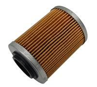 Filtro olio motore con molla adatto for CF 450 550 800 1000 ATV UTV 0800-011300-0004