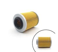 Filtro Olio Motore Flameer 21040111601 Adatto Per Odes LZ800 RM800 ATV UTV